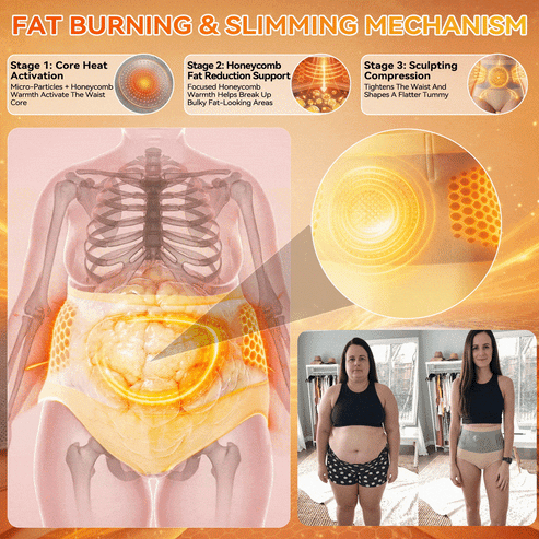 |Official Brand Store|🛡️Sfrcord® 2026 Moringa & Berberine 4-in-1 Micro-Particle Shaping & Fat Burning Shorts