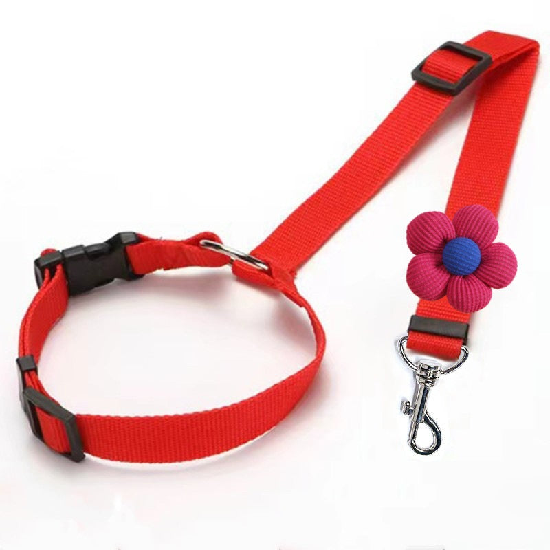 🔥HOT SELL🎁2-in-1 Dog Car Seat Belt & Walking Leash