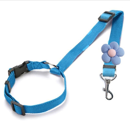 🔥HOT SELL🎁2-in-1 Dog Car Seat Belt & Walking Leash