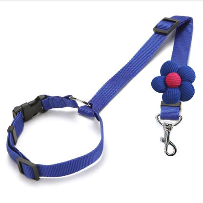 🔥HOT SELL🎁2-in-1 Dog Car Seat Belt & Walking Leash