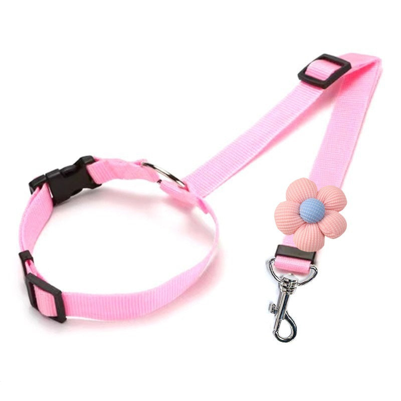 🔥HOT SELL🎁2-in-1 Dog Car Seat Belt & Walking Leash